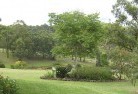 Bellenden Kerresidential-landscaping-40.jpg; ?>